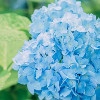 BOB体育登录APP下载截图